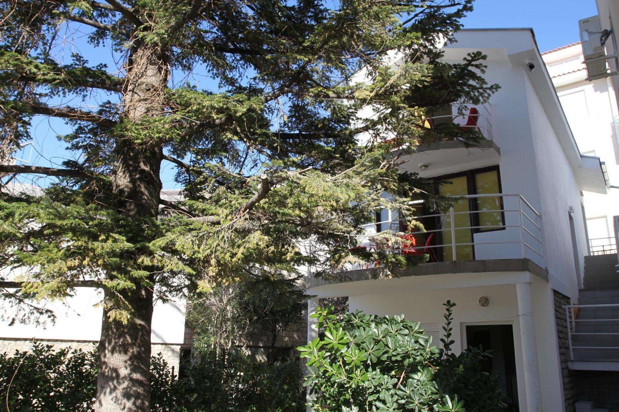 Apartments Popovic Petrovac Dış mekan fotoğraf